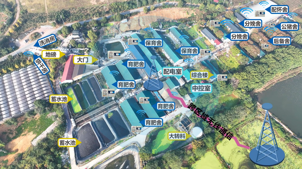 1749017255100082.png 图片6.png